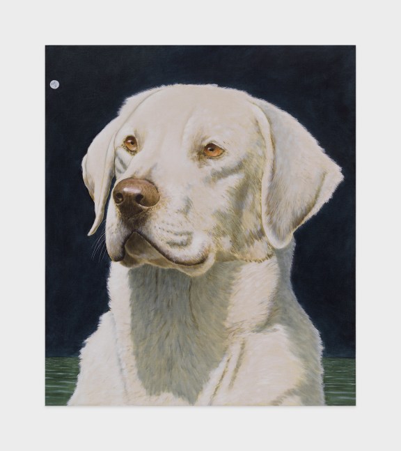 Sean Landers

White Lab

2023

Oil on linen

42 x 36 inches

106.7 x 91.4 cm
