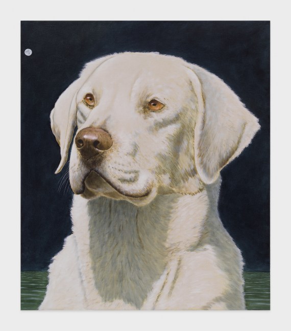 Sean Landers

White Lab

2023

Oil on linen

42 x 36 inches

106.7 x 91.4 cm

(LS 23/002)