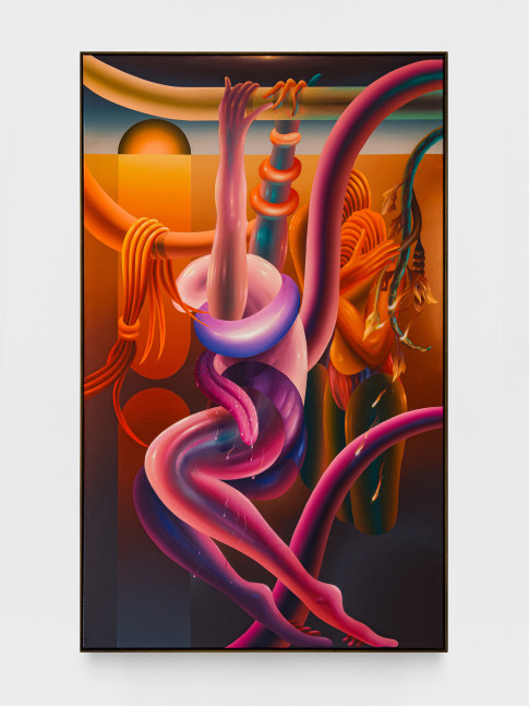 Igor Hosnedl

Tongue, 2025

handmade pigments, glue and damar varnish on canvas&amp;nbsp;

90 1/2 x 55 in
230 x 140 cm