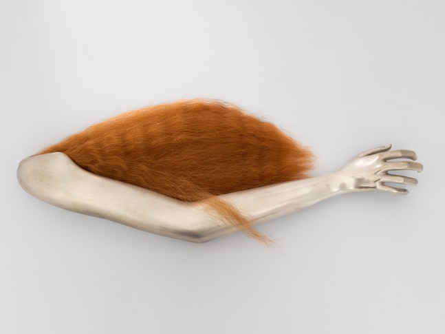 Isabelle Albuquerque

Summertime Sadness, 2024

bronze, silver nitrate, fire red human hair&amp;nbsp;

4 x 10 x 31 in
10 x 25 x 79 cm

Ed. 1/3 + 2AP