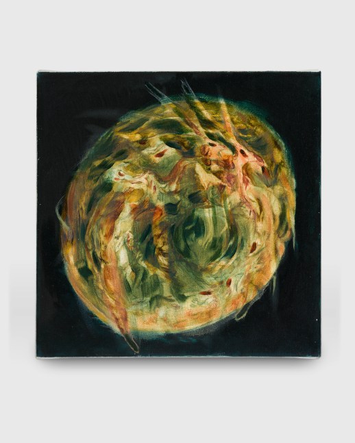 Chantal Khoury

Fauna in Copper, 2023

oil on canvas

12h x 12w in

30.48h x 30.48w cm