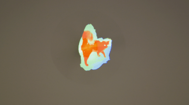 Jennifer West
Cat Clone Copy Hologram #2,&amp;nbsp;2020
2K High-definition video (transferred from 16mm painted with urine and inks, 16mm shot by Peter West), Holofan LED projector
30 seconds looped
17 x 17 x 5.5 in
43.2 x 43.2 x 14 in