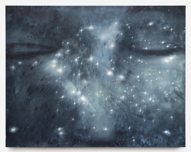 Liang Fu

Freckles, 2025

mineral pigment, oil on canvas

43 x 55 in
110 x 140 cm