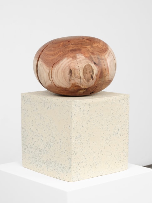 Jesse Schlesinger Solidity of bark, leaf, or wall, 2024 Glazed ceramic and acacia (salvaged) 20 x 12 x 12 inches 50.8 x 30.5 x 30.5 cm