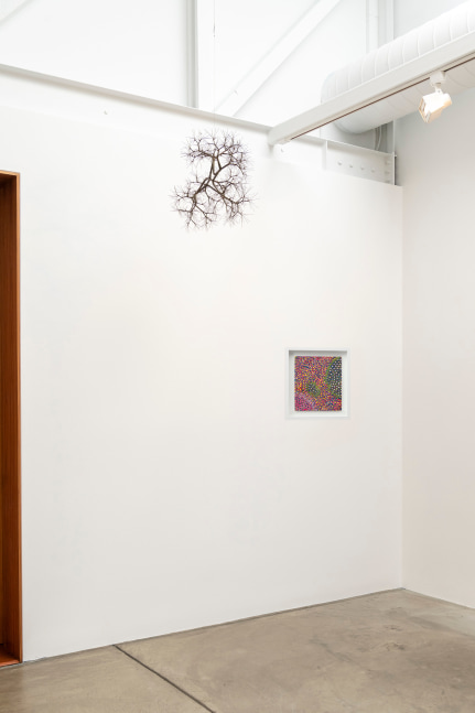 Consider the Oyster at Anthony Meier, 29 May - 8 August 2025