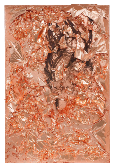 Tam Van Tran, Chinese Medicine I, 2013