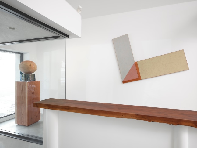 JESSE SCHLESINGER &amp; MANFREDO DE SOUZANETTO  6 March - 2 May 2025