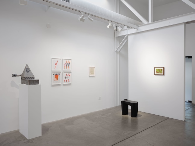 Anthony Meier In the Shadow of Mt Tam installation view