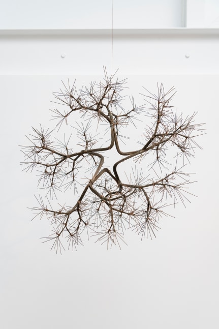 Ruth Asawa Untitled (S.441, Hanging Asymmetrical Tied-Wire, Open-Center, Five-Branched Form Based on Nature), circa 1965 Includes tag inscribed ' S.441/60' Brass wire with copper ties 21 x 21 x 19 inches 53.3 x 53.3 x 48.3 cm