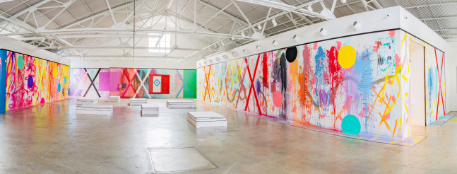 Sarah Cain: The Imaginary Architecture of Love, 2015 Contemporary Art Museum Raleigh, NC