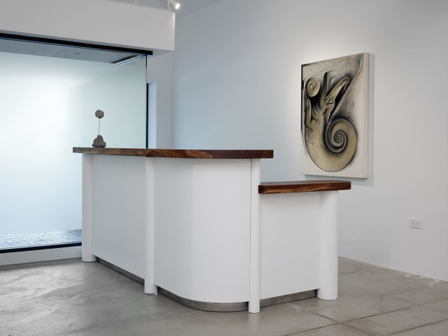 Anthony Meier In the Shadow of Mt Tam installation view