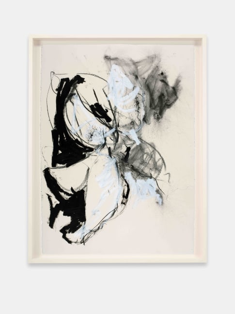 Joseph Havel, First Flowers (S.F.) 2, 2017