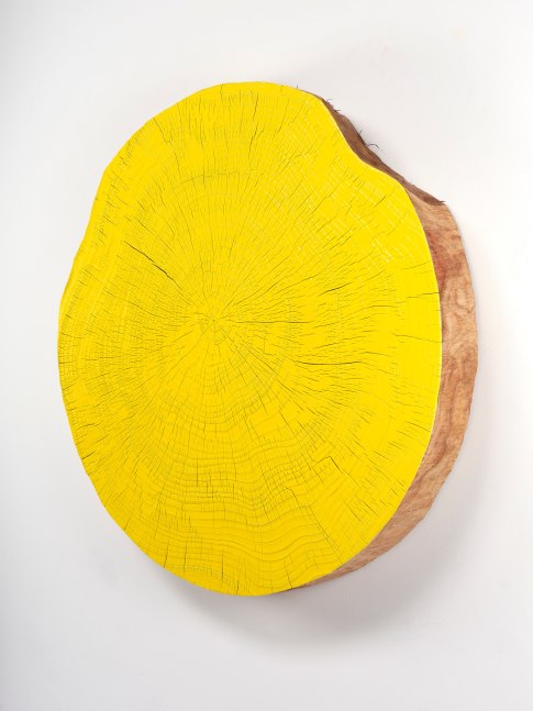 Jesse Schlesinger M. 04, 2024 Redwood (salvaged) and enamel paint 42 x 42 x 5 inches 106.7 x 106.7 x 12.7 cm