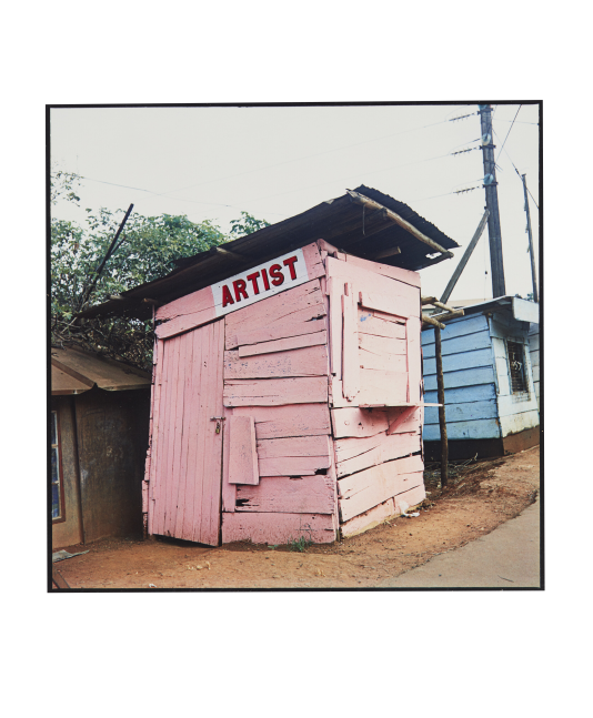 Zoe Leonard, Artist, 2004/2006