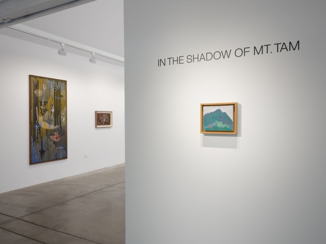 Anthony Meier In the Shadow of Mt Tam installation view
