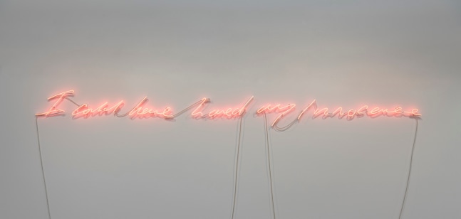 Tracey Emin I could have loved my innocence, 2007 Accompanied by a certificate of authenticity Neon 15 x 134 x 2 inches 38.1 x 340.4 x 5.1 cm Edition 1 of 3
