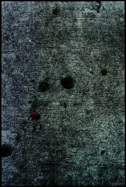 Zoe Leonard, Bubblegum No. 1, 2000/2003