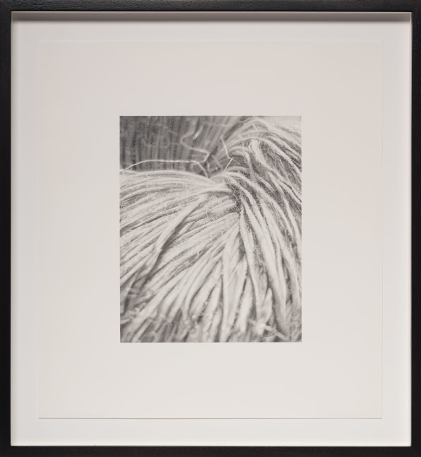 Rosana Castrillo Diaz 10/26/23, 2023 Graphite on paper Framed Dimensions: 19 7/8 x 18 3/8 x 1 1/2 inches 50.5 x 46.7 x 3.8 cm Paper Dimensions: 17 x 15 inches 43.2 x 38.1 cm