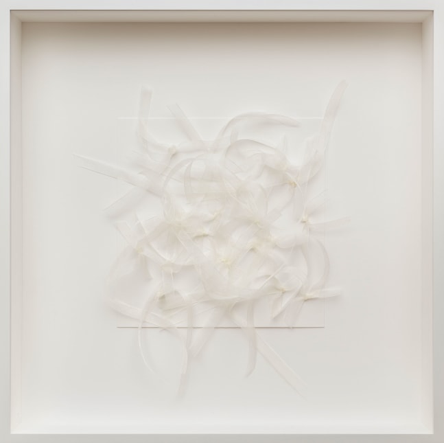 Rosana Castrillo Díaz, Untitled (9/22/19), 2019