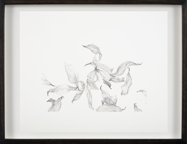 Rosana Castrillo Díaz, Untitled, 6/26/17, 2017