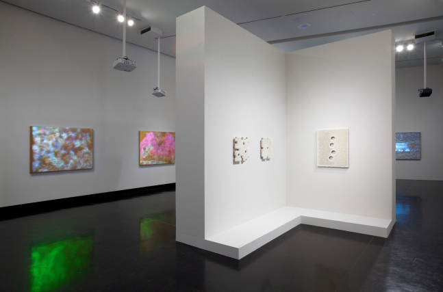 Donald Moffett, The Frances Young Tang Teaching Museum and Art, Saratoga Springs, 2012