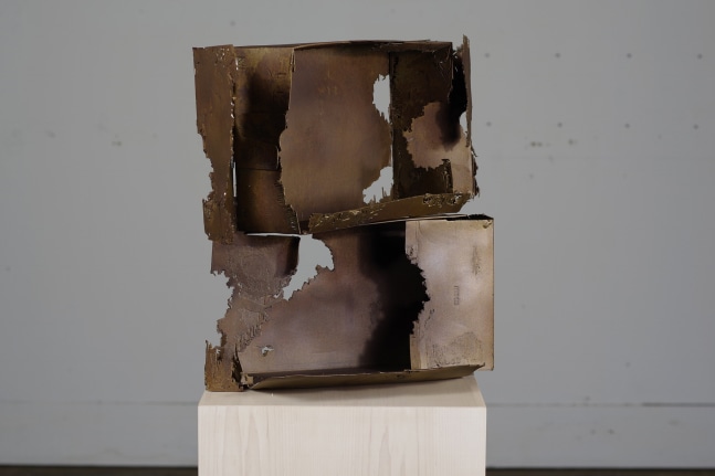 Joseph Havel, Palace (parrot architecture), 2017