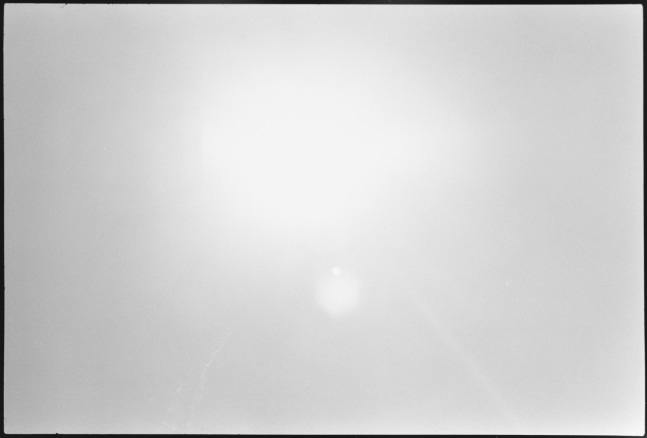 Zoe Leonard, April 5, frame 10, 2011