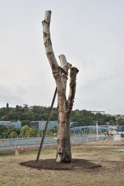 Oscar Tuazon
Sex Machine, 2012
Chestnut tree, pump, water
Approximately 315 x 98 3/8 x 98 3/8 inches (800 x 250 x 250 cm)
Photo:&amp;nbsp;Rebecca Fanuele