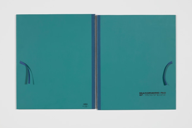 Steve Wolfe
Untitled (Sketchbook 8F), 1990
Oil, screenprint, steel, dyed cotton and aluminum
18 1/8 x 30 1/2 x 1/2 inches &amp;nbsp;(46.04 x 77.47 x 1.27 cm)