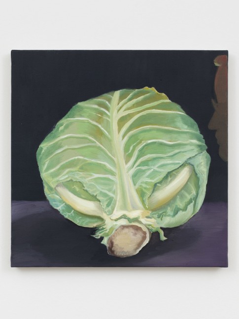 Allison Katz
Cabbage (and Philip) No. 14, 2018
Oil on canvas
15 3/4 x 15 3/4 inches
(40 x 40 cm)
