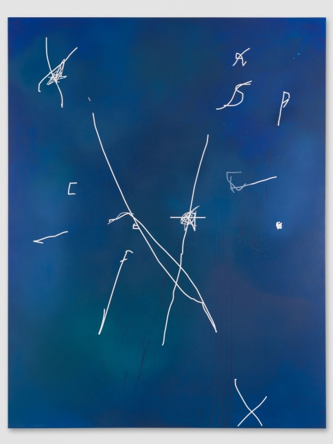 Jeff Elrod
Night Flight, 2013
Acrylic and enamel on canvas
96 x 74 inches
(243.84 x 187.96 cm)