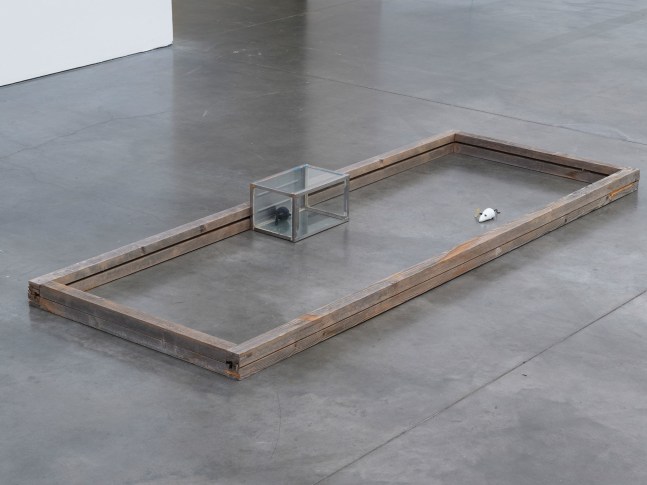 Lucia Nogueira
Innocent, 1993
Wood, toys, glass
7 7/8 x 89 x 33 7/8 inches
(20 x 226.1 x 86 cm)