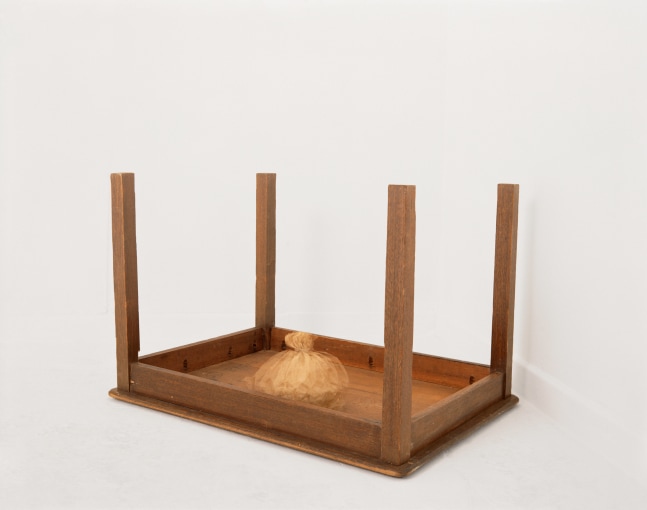 Lucia Nogueira
No Time for Commas, 1993
Battery operated toy, paper bag, wood
27 1/8 x 15 3/4 x 17 3/4 inches
(61 x 91 x 68 cm)