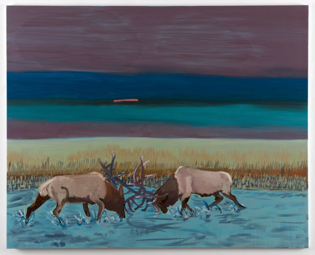 Emo Verkerk
Two American Elks at Sunset, 2020
Oil on cotton
47 1/4 x 59 1/8 inches
(120 x 150 cm)