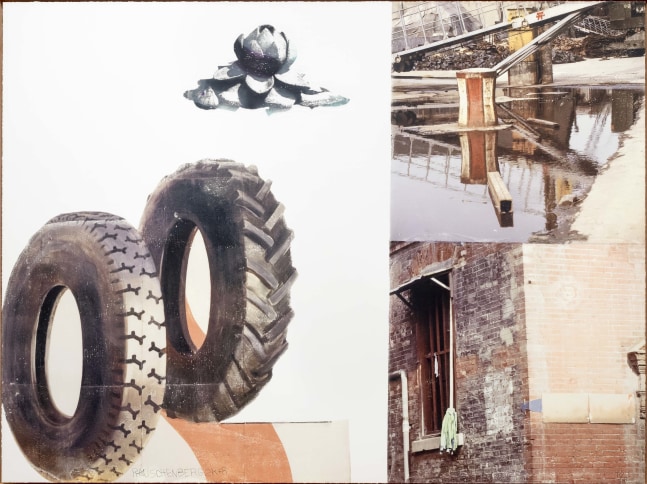 Robert Rauschenberg, Lotus II, Inkjet