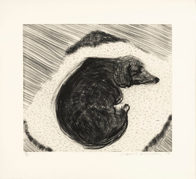 Dog Etching No. 3, from Dog Wall, 1998
Etching
16 5/8 x 18 1/2 inches
Edition of 35
Signed and numbered
HO108