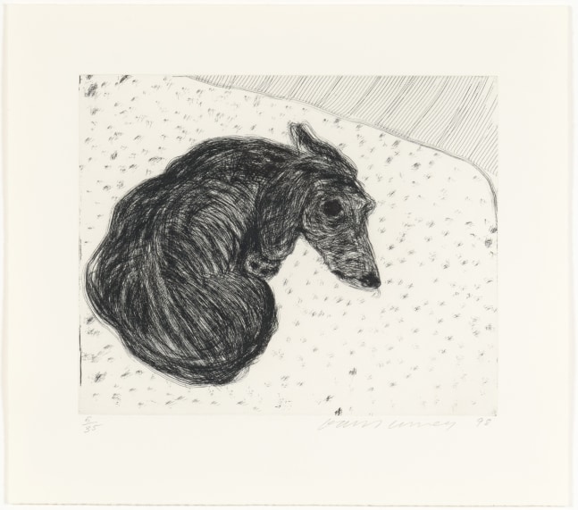 Dog Etching No. 15, from Dog Wall, 1998
Etching
12 3/4 x 14 1/4 inches
Edition of 35
Signed and numbered
HO110