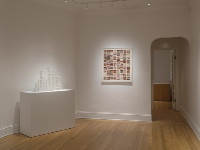 Phong H. Bui &amp; Sol LeWitt