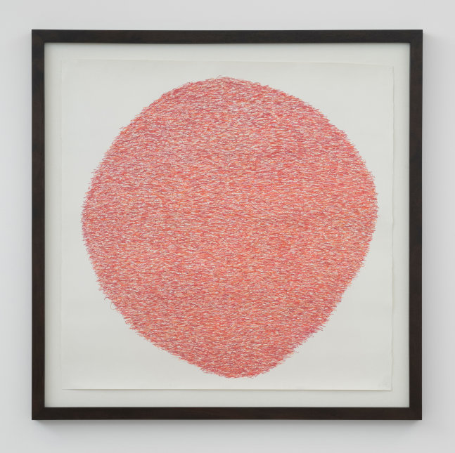 Under:Conscious: Drawing VI, 2014
Colored pencil on paper
52 1/2 &amp;times; 52 1/2 inches (133.4 &amp;times; 133.4 cm)