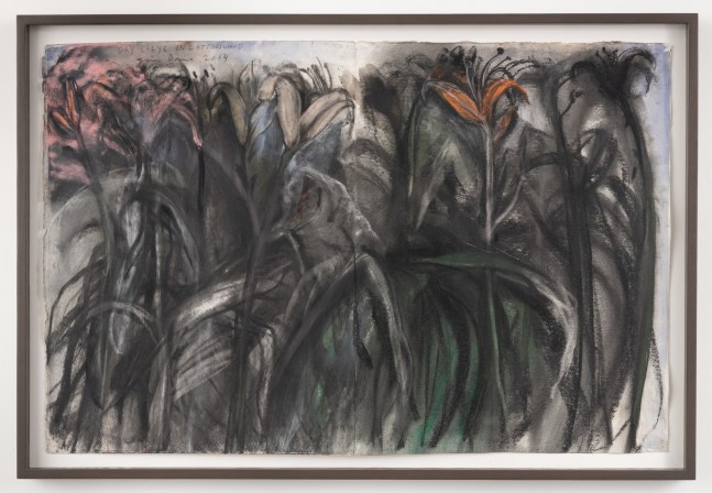Day Lilys on Cottonwood,&amp;nbsp;2014
Charcoal, pastel and watercolor on paper
30 &amp;times; 45 3/4 inches
(76.2 &amp;times; 116.2 cm)