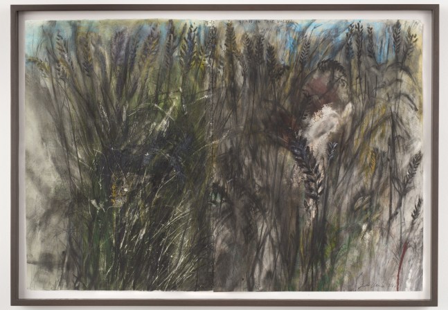 Grass in this Valley, 2014
Charcoal, pastel and watercolor on paper
42 1/4 &amp;times; 62 inches
(107.3 &amp;times; 157.5 cm)