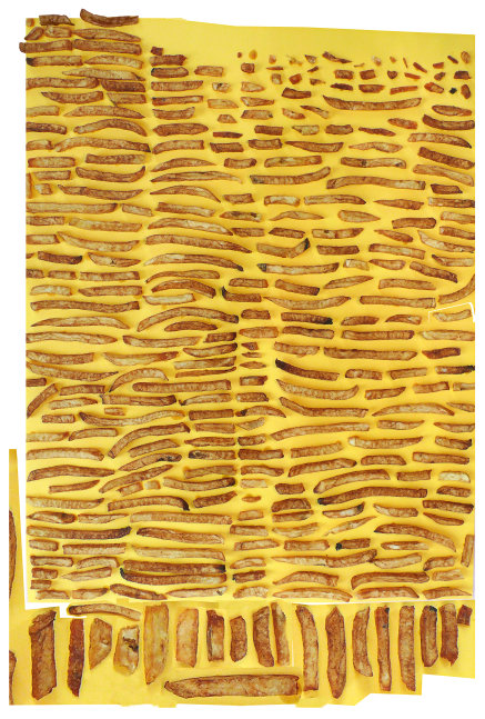 Organized Fries, 2010
Inkjet Ultrachrome Archival Inkjet Print
42 x 28
