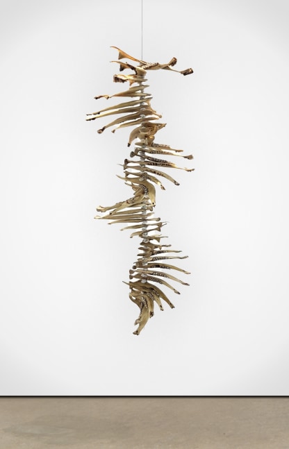 Spirals from the Pile, 2019
Reindeer jaw and metal wire
59 x 23 5/8 x 23 5/8