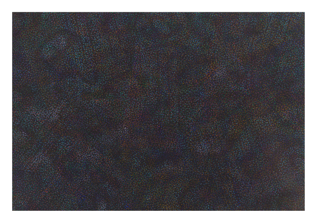 Deep Sea #10, 2024
Acrylic on canvas
65&amp;nbsp; x 95 inches