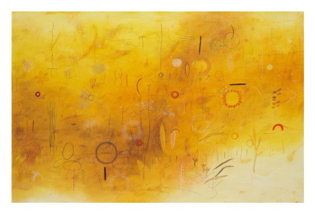 Chaco (II), 2024
Mixed media on canvas
60 x 90 inches