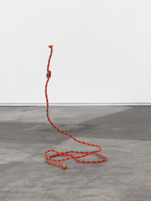 A red and yellow striped rope sculpture that twists on the ground and rises perpendicularly with a knot in the end.