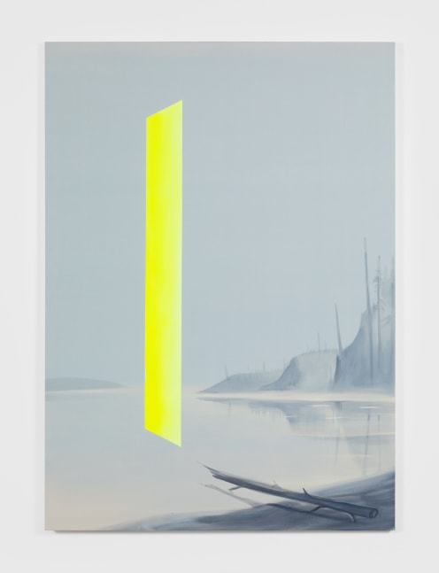 Wanda&amp;nbsp;Koop
Mirror Lake, 2020
acrylic on canvas
84 x 60 in (213.4 x 152.4 cm)
WK279