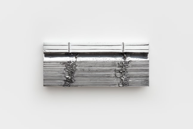 Anne Libby
These Days, 90.2, 2021
polished cast aluminum
10 x 22 x 2 in (25.4 x 55.9 x 5.1 cm)
AL063
