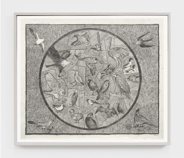 An ink drawing of various birds in a circle.