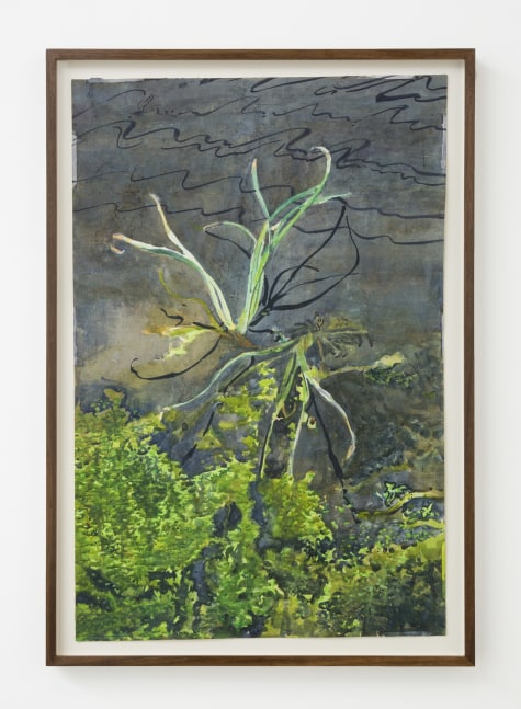 Sterling Wells
Power Lines and Algae (Los Angeles River), 2020
27 3/4 x 18 1/2 in